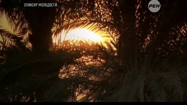 Эликсир молодости (28.11.2014) смотреть онлайн