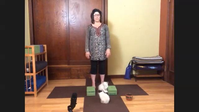 YOGA: Moving Into the Subtle смотреть онлайн