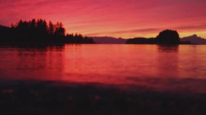 Дикая Аляска (документальный фильм, 2012)