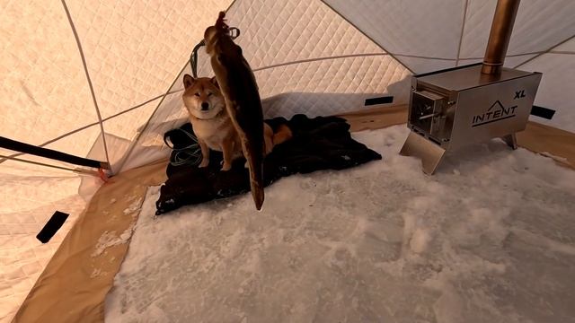 НЕ ВАЖНО ХОЛОДНО ТАМ ИЛИ ЖАРКО ,КТО КУДА? А Я НА РЫБАЛКУ! смотреть онлайн