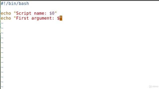 13. Playing with $ arguments, arguments, arguments смотреть онлайн