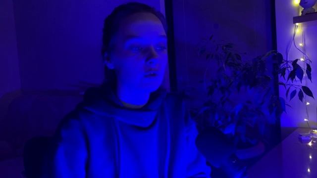 Сколько стоит сделать сайт?