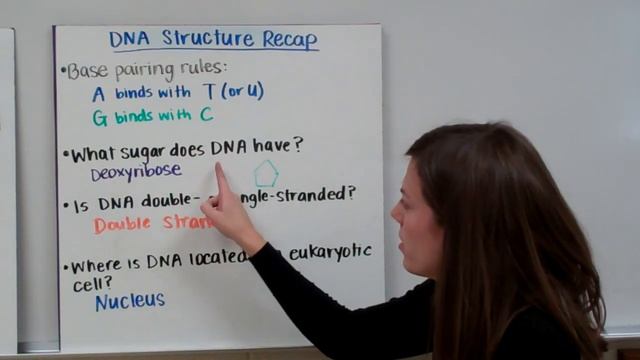 DNA Replication смотреть онлайн