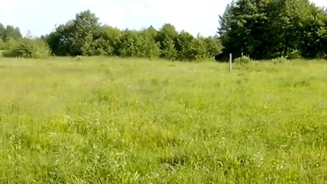 Продам участок 25соток с.Каменка Житом.обл. смотреть онлайн