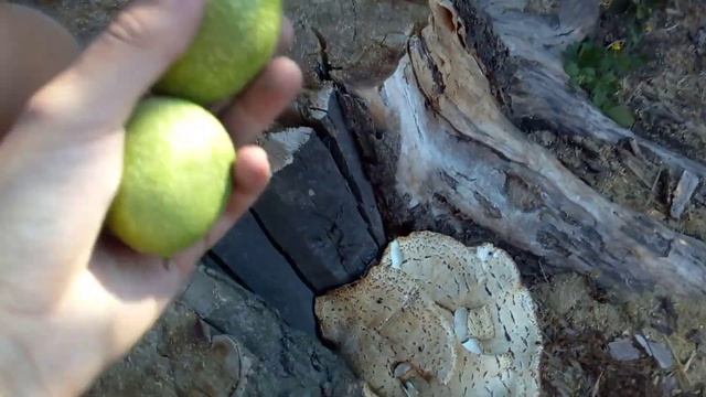 мы попали в детский мир БЕЛЯШЕЙ 18+ смотреть онлайн