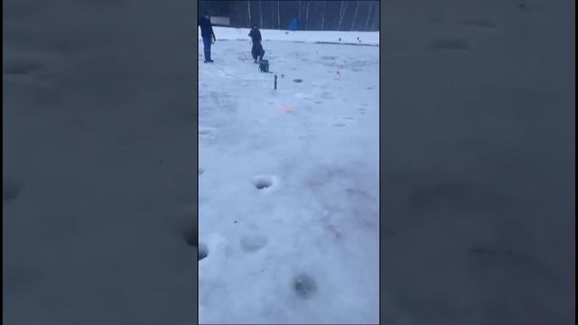поимки форели смотреть онлайн