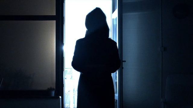 Hamburger Lady (edit to soundtrack) смотреть онлайн