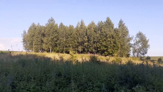 Пішли скоштувати польових суниць)) смотреть онлайн