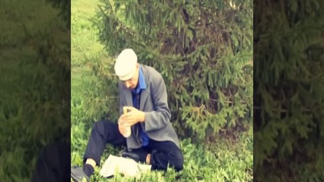 Кыстыбый шоу смотреть онлайн