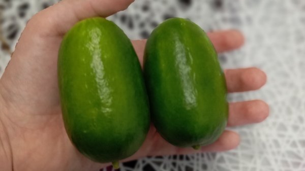 просто проверю