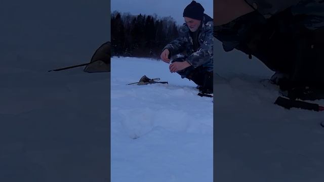 Fishing. Catching a large walleye. Поимка крупного судака. смотреть онлайн