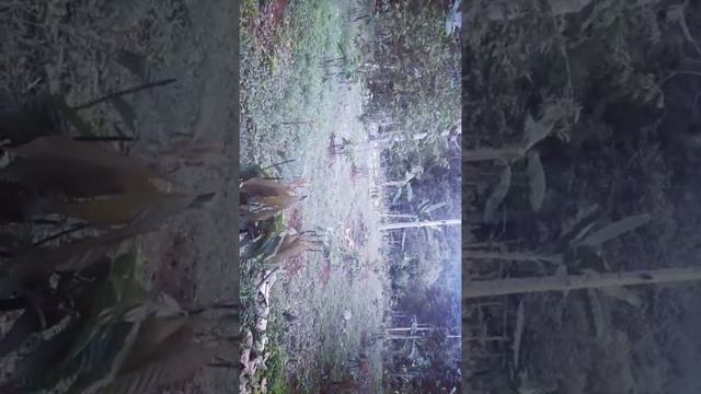 Kakao MCC 02/45 смотреть онлайн