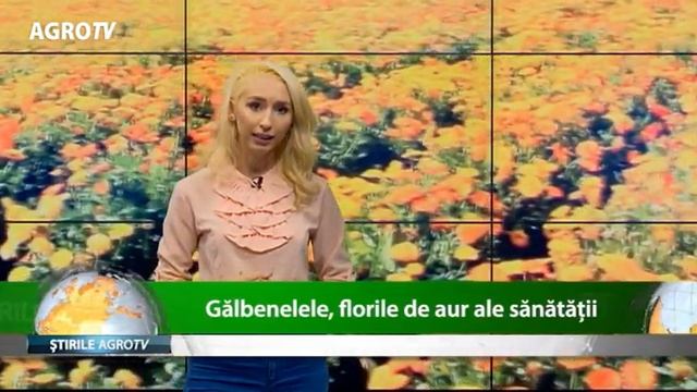 galbenelele florile de aur ale sanatatii 18 09 2018 смотреть онлайн