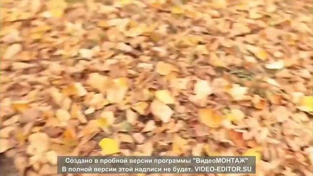 Хлебни морца смотреть онлайн