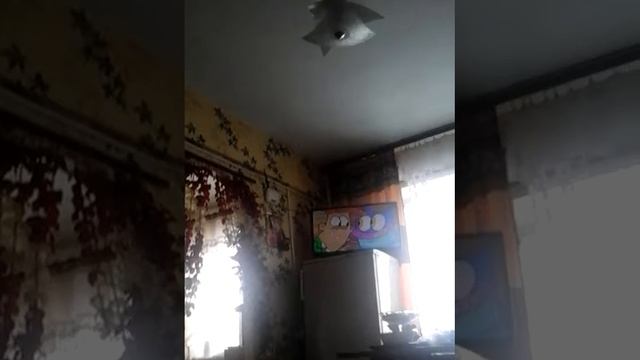 ' Чудеще бансен смотреть онлайн