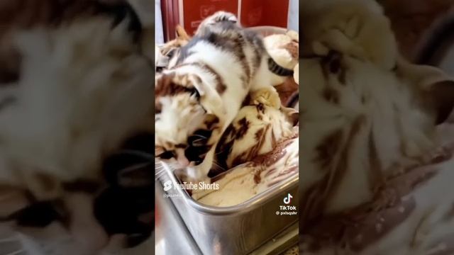 Шок! Это! Не! Мороженное! Вы будете в шоке. 🤯🤯🤯 смотреть онлайн