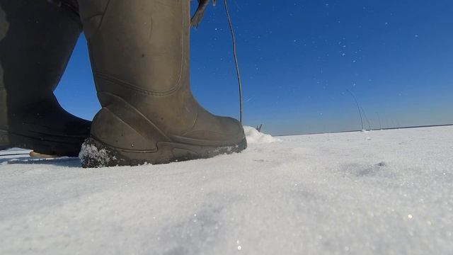 Рыбалка. Ловим щуку и судака в затопленном лесу старым дедовским способом. смотреть онлайн