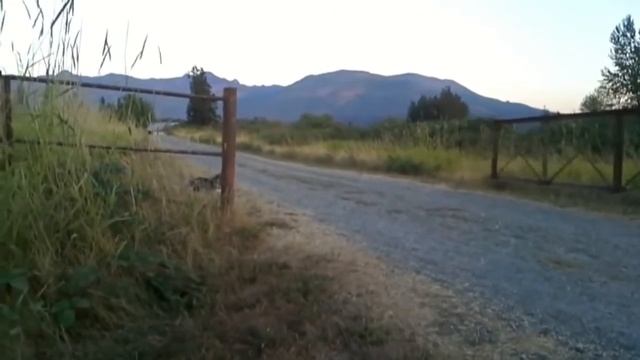 Жуткие звуки в жизни / The eerie sounds of life смотреть онлайн