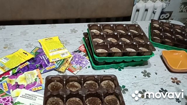 ПЕТУНИИ В ТОРФЯНЫХ ТАБЛЕТКАХ: КАК ПРАВИЛЬНО ПОСАДИТЬ смотреть онлайн