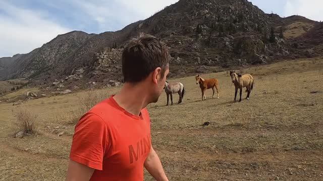 Сплав по Катуни, серия 3, Пешка Айлагуш-Ильгумень смотреть онлайн