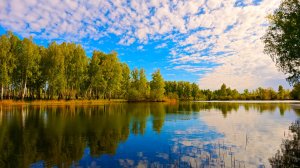 Убитый пруд. Живой карась