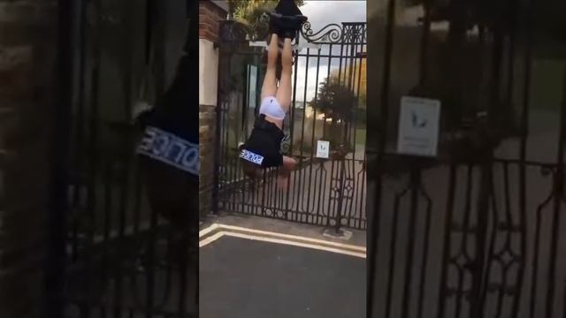 Погнался за разбойником и повис штанами ☝️😉✌️😂😂😂 смотреть онлайн