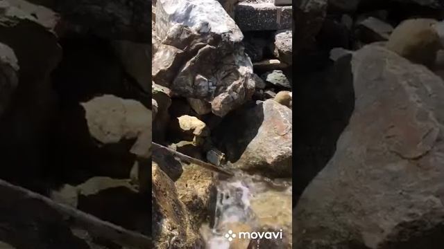 Морской ЕЖ смотреть онлайн