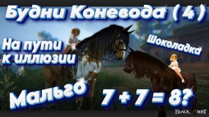Black Desert. Будни Коневода 4. Ап уровней при скрещивании. Мы почти у цели
