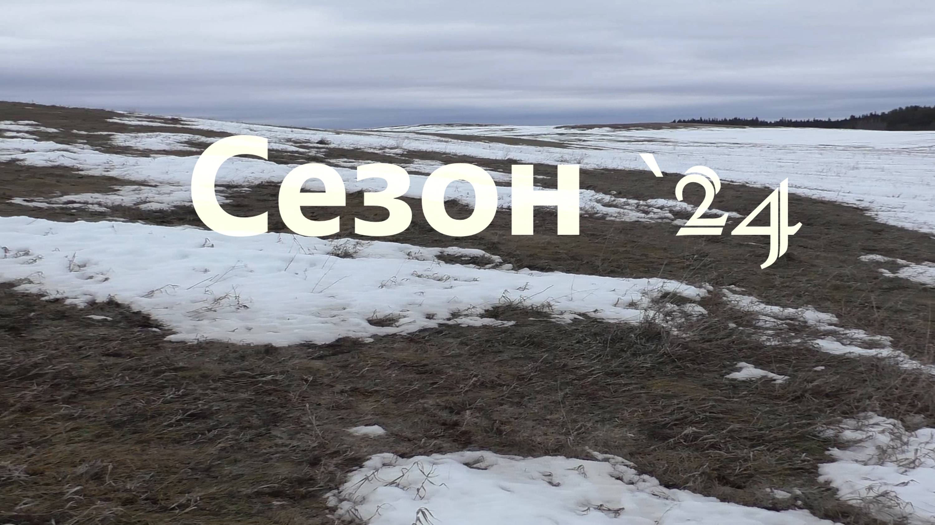 Сезон 2024