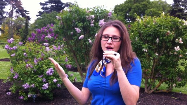 Cardinal, Fixed and Mutable (Dual) Signs in Astrology. смотреть онлайн