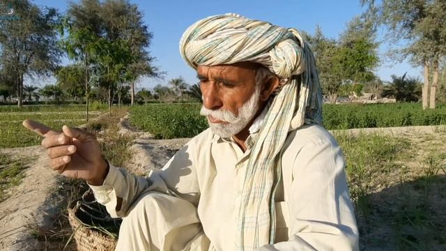 Wájah Golám Sháhay sárbániay kessah. смотреть онлайн