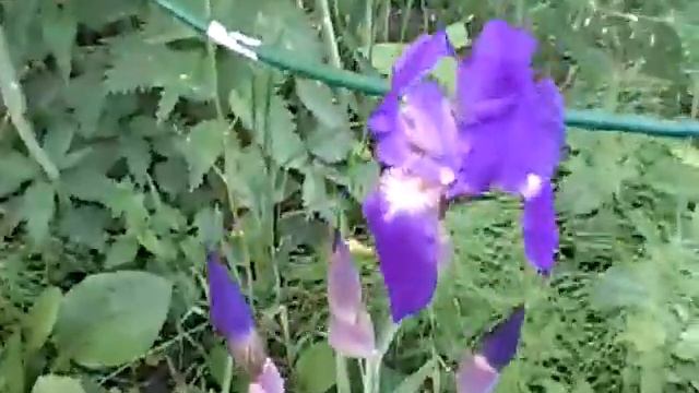 В субботу на даче🍒 смотреть онлайн