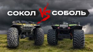 Болотоходы Сокол и Соболь: обзор, сравнение, недостатки и преимущества.