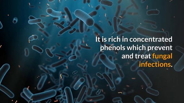 Oregano Oil for Candida - Better than Antibiotics to Stop Candia Overgrowth! смотреть онлайн