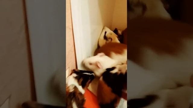 17 Сентябрь 2016 г. смотреть онлайн