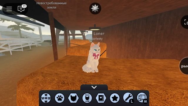 Обзор на пасс вип в WCUE ,и стоит ли его вообще покупать?