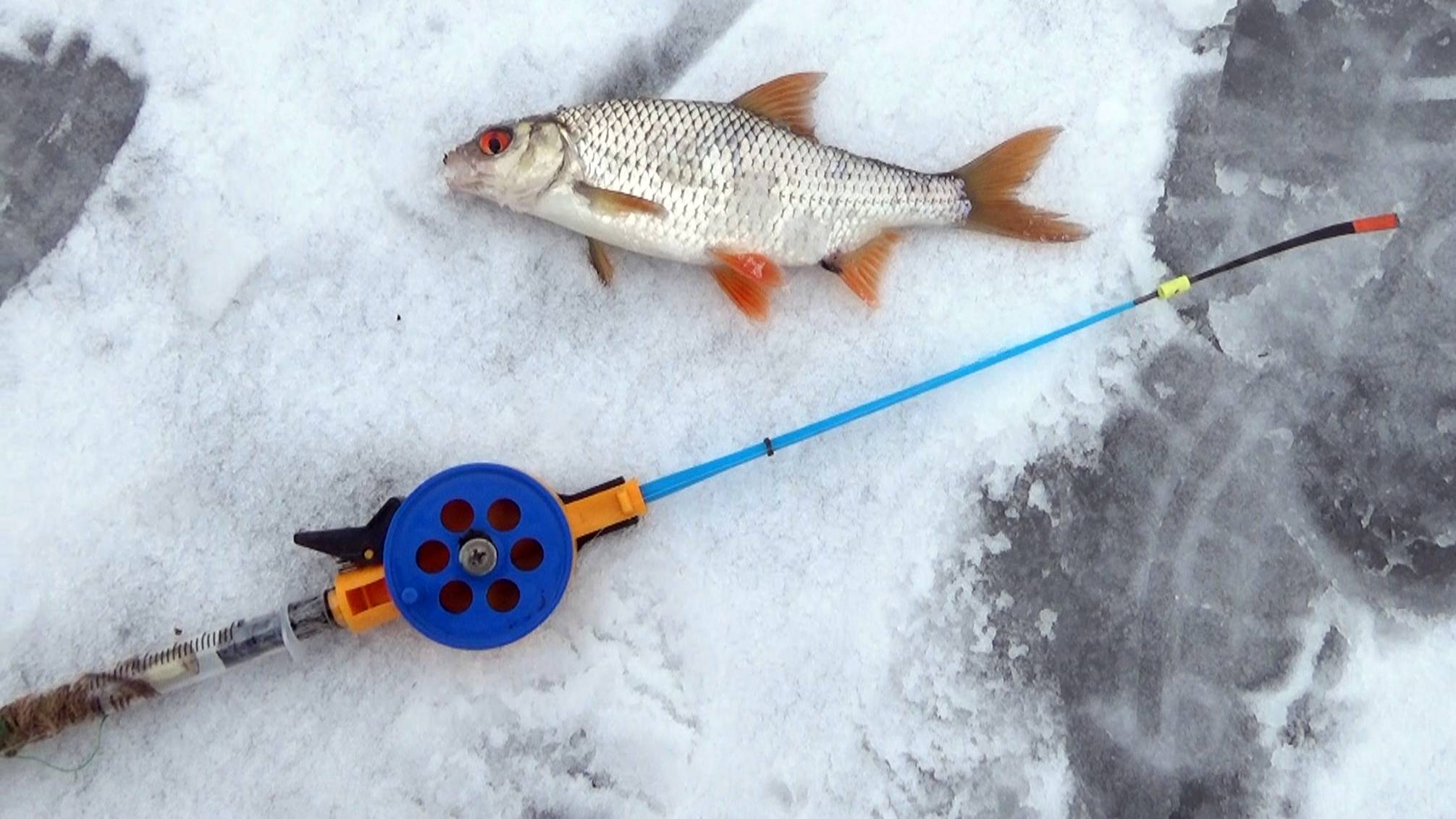 Рыбалка 7 января - безмотылка против длинных смотреть онлайн