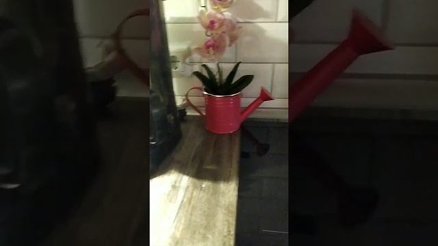 Картошечка с мясом (окорок свиной) смотреть онлайн