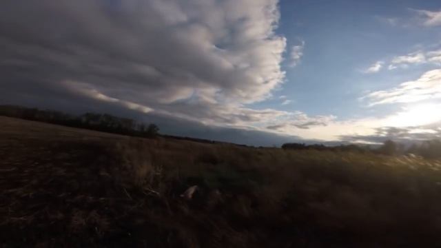 Охота на фазана 2017. Pheasant hunt смотреть онлайн