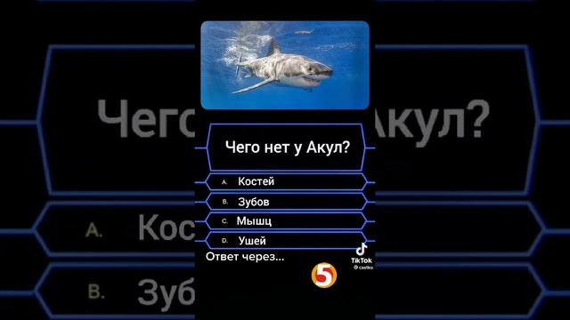 #тест #акула смотреть онлайн
