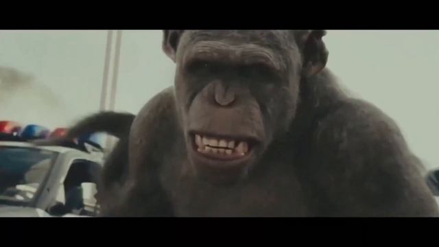 Ce Chimpanzé lui a Mangé le visage lors d'une ATTAQUE Sanglante смотреть онлайн