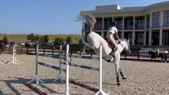 SOLD | Сильная кобыла с большой перспективой смотреть онлайн