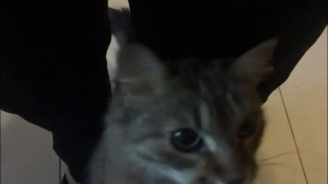 Боря в юбке- Веснушка =) смотреть онлайн