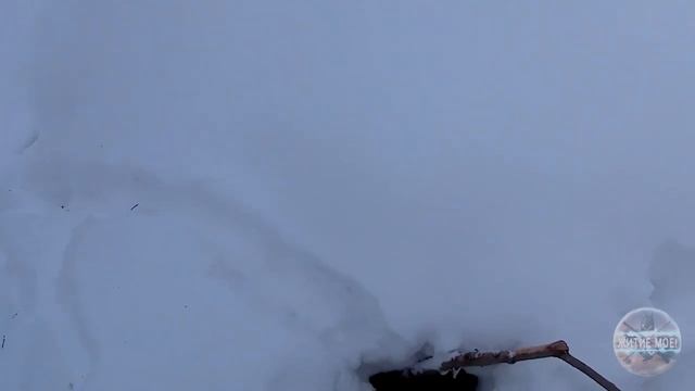 Hunting and fishing. Hunting beavers. Checking beaver traps. Проверка капканов на бобра. смотреть онлайн