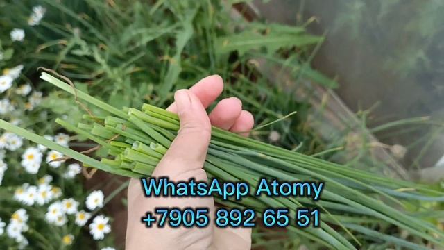 ПЛОВ УЗБЕКСКИЙ В КАЗАНЕ НА КОСТРЕ ❤️🔥 Кор дар ширкати Атоми😍 Заказы Atomy смотреть онлайн