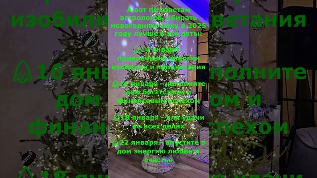 Когда лучше всего убирать новогоднюю елку #елка #новыйгод #рождество #елки-палки #убиратьелку смотреть онлайн