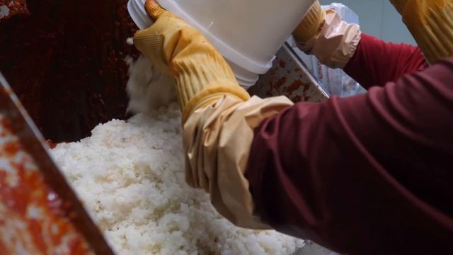 Various Kimchi Mass Production Process In Amazing Korean Kimchi Factory - Food Factory