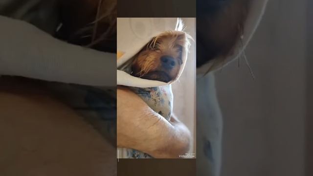 Наша Алёнушка🥰 смотреть онлайн