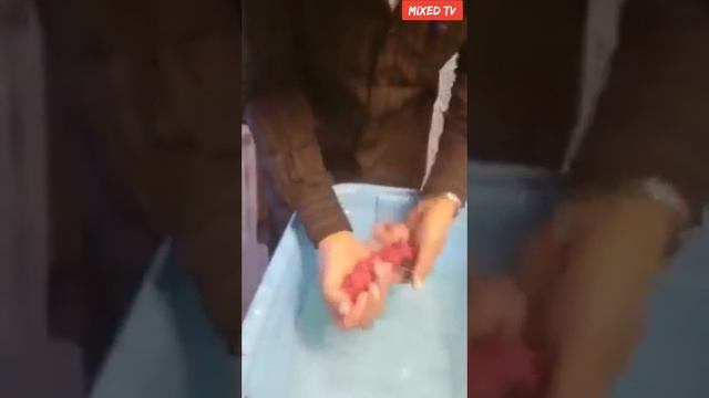 #Artificialmeat. Как готовится искусственная мясо в домашних условиях.Ужас😱.#мясо.#ужас.#химя.#meat смотреть онлайн