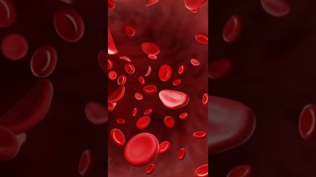 What does iron do in the body? смотреть онлайн